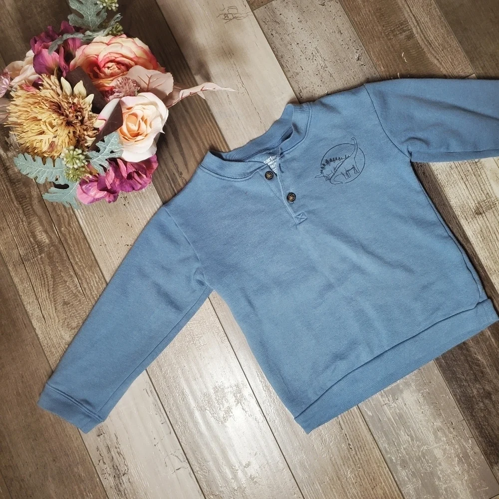 Carter's Boys Size 5T Blue Fleece Pullover Dinosaur Graphic Sweatshirt